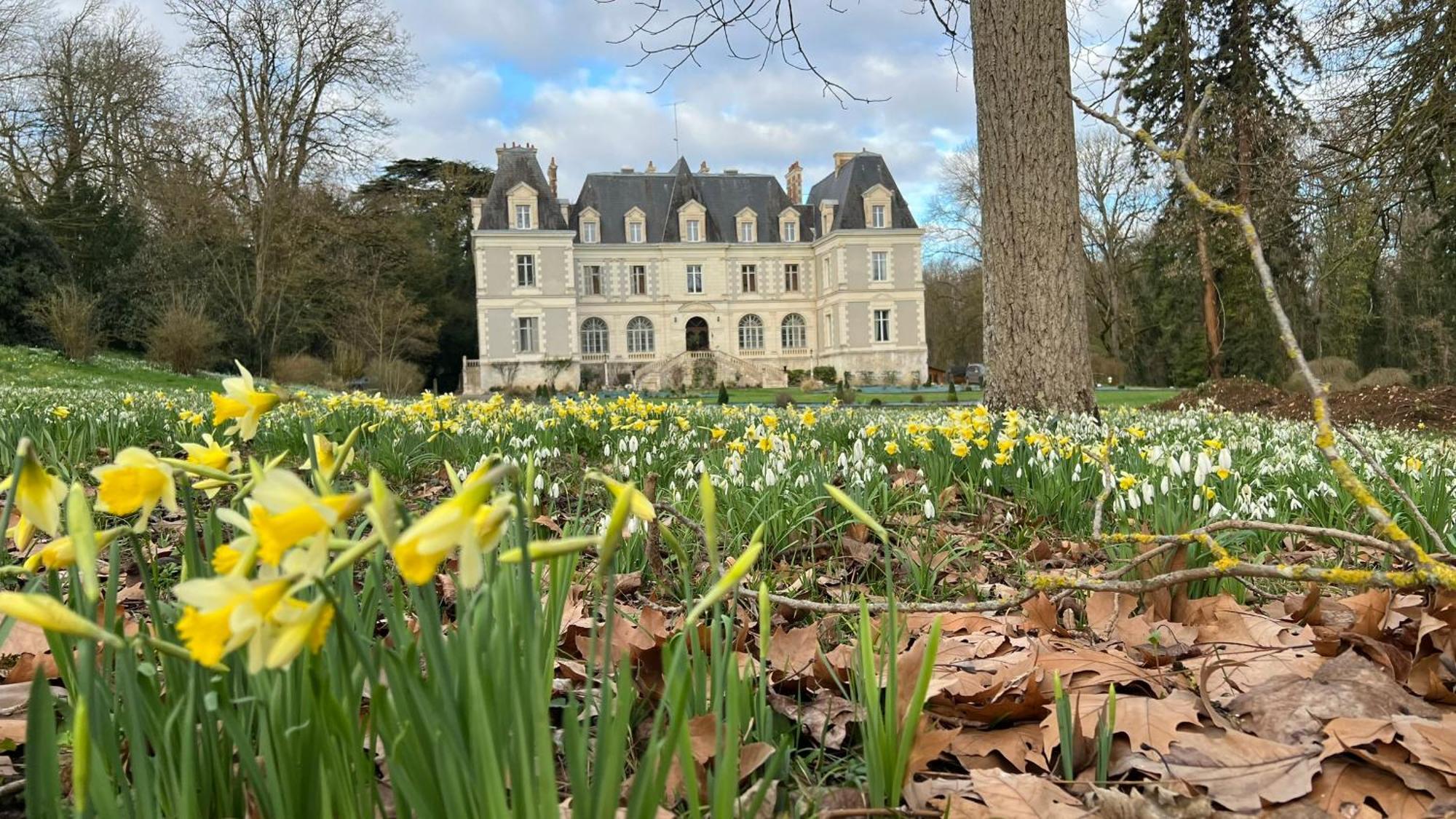Chateau De Saint-Bohaire Exterior foto